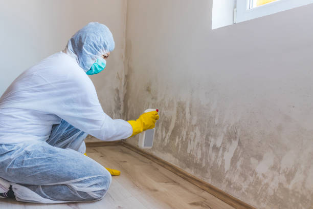 Mold Remediation specialist working in Herndon